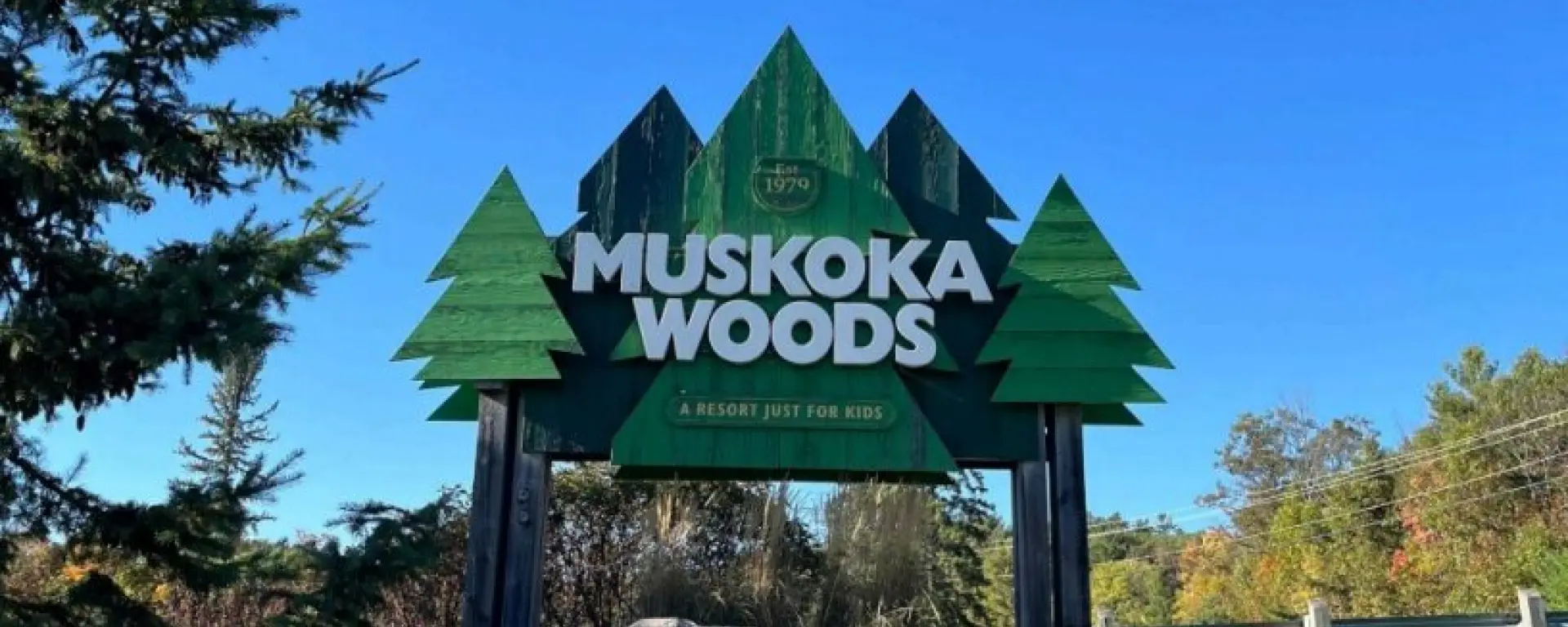 Und auf einmal soll ich Profi sein